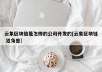 云象区块链是怎样的公司开发的[云象区块链 独角兽]