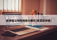 区块链公司陈纯简介图片[陈哲区块链]